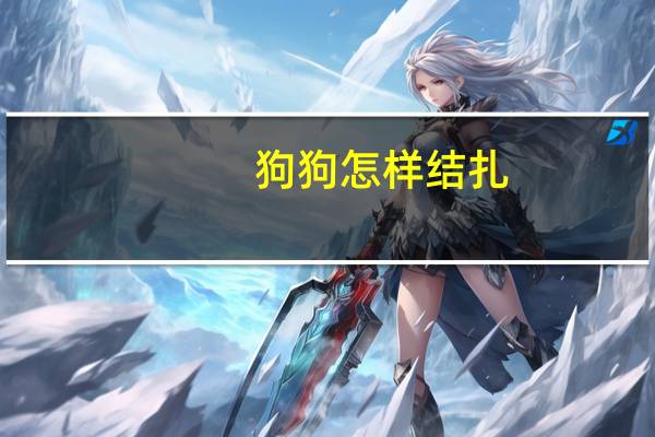 狗狗怎样结扎