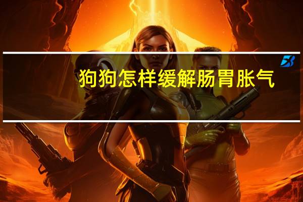 狗狗怎样缓解肠胃胀气