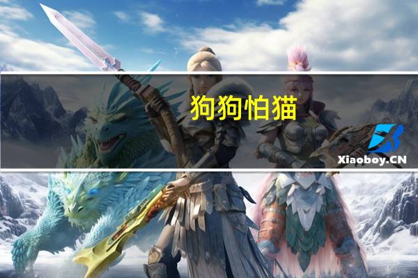 狗狗怕猫