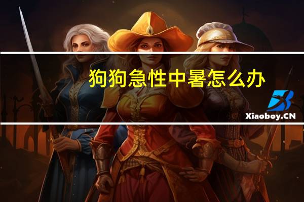 狗狗急性中暑怎么办