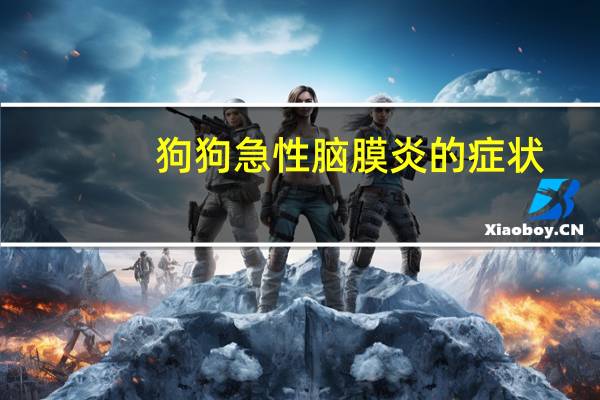 狗狗急性脑膜炎的症状