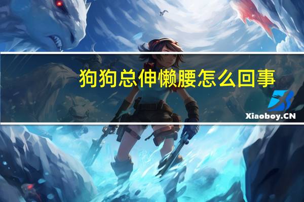 狗狗总伸懒腰怎么回事