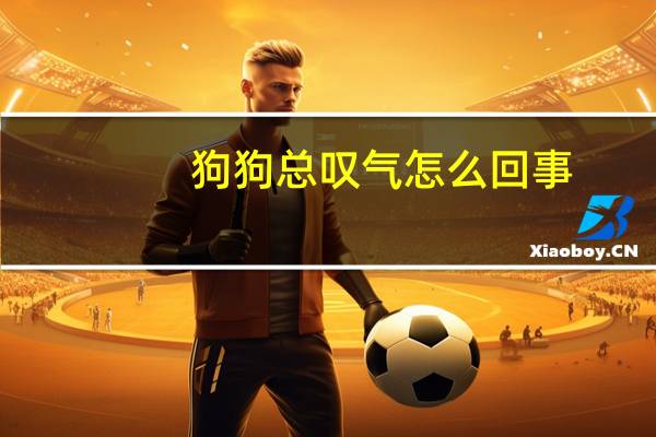 狗狗总叹气怎么回事