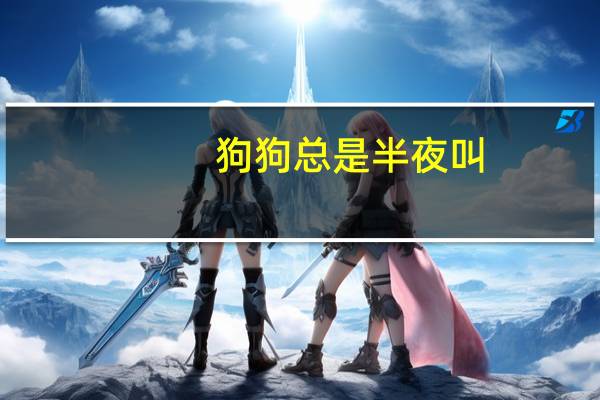 狗狗总是半夜叫