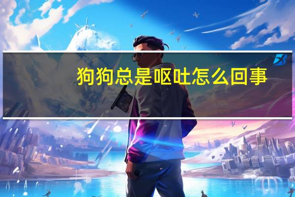 狗狗总是呕吐怎么回事