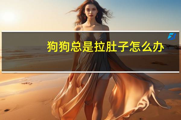 狗狗总是拉肚子怎么办