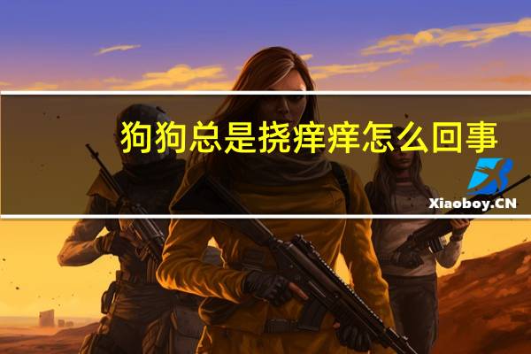 狗狗总是挠痒痒怎么回事