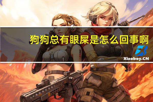 狗狗总有眼屎是怎么回事啊