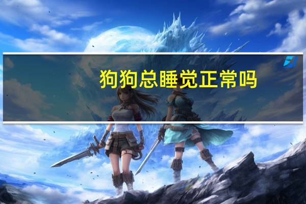 狗狗总睡觉正常吗