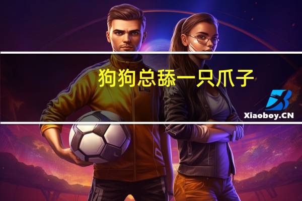 狗狗总舔一只爪子