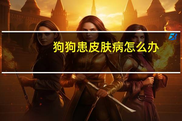 狗狗患皮肤病怎么办