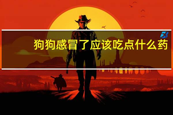 狗狗感冒了应该吃点什么药