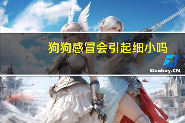 狗狗感冒会引起细小吗