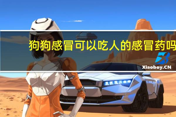 狗狗感冒可以吃人的感冒药吗