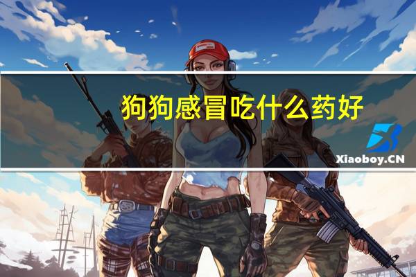 狗狗感冒吃什么药好