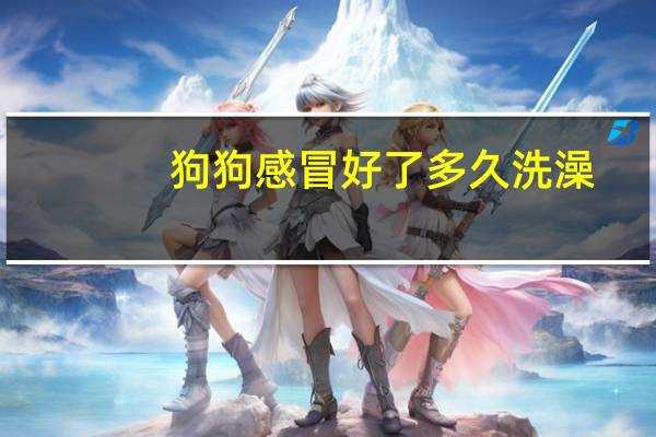 狗狗感冒好了多久洗澡