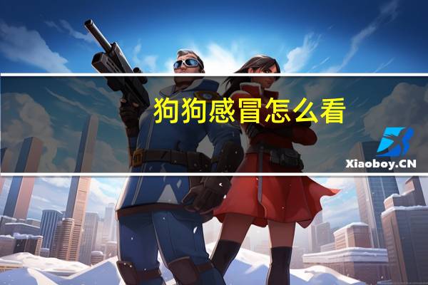 狗狗感冒怎么看