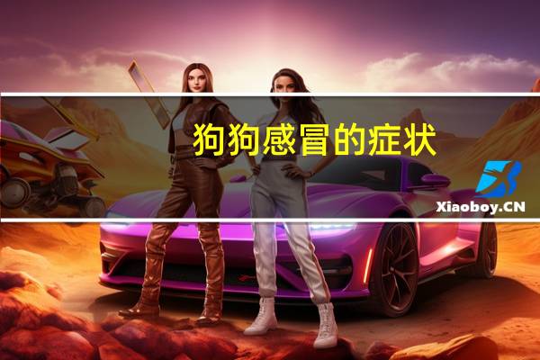 狗狗感冒的症状