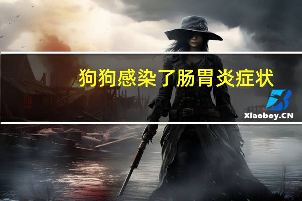 狗狗感染了肠胃炎症状