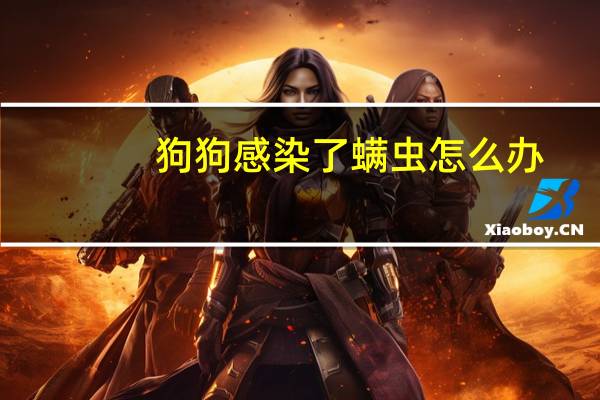 狗狗感染了螨虫怎么办