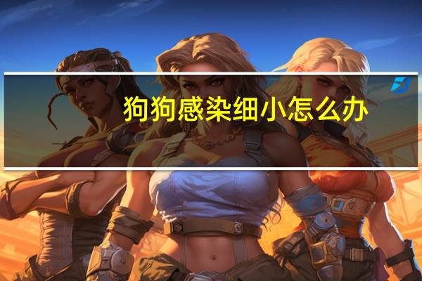 狗狗感染细小怎么办