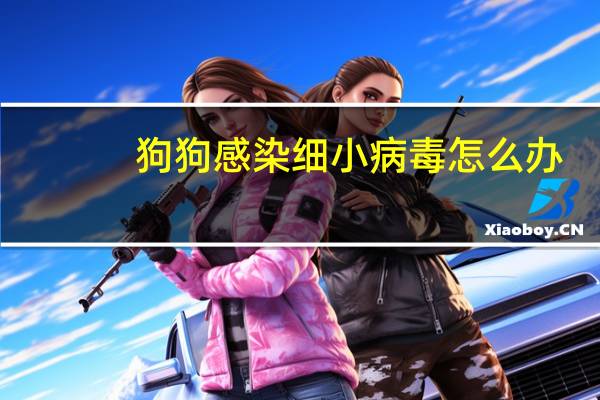 狗狗感染细小病毒怎么办
