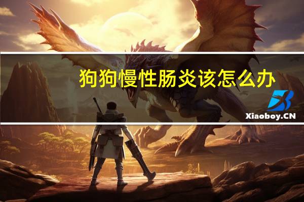 狗狗慢性肠炎该怎么办