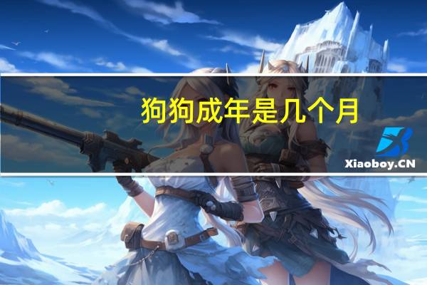 狗狗成年是几个月