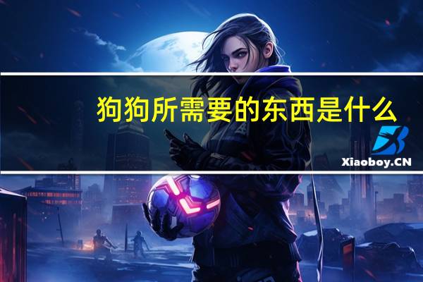 狗狗所需要的东西是什么