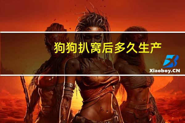狗狗扒窝后多久生产