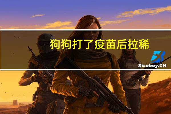 狗狗打了疫苗后拉稀