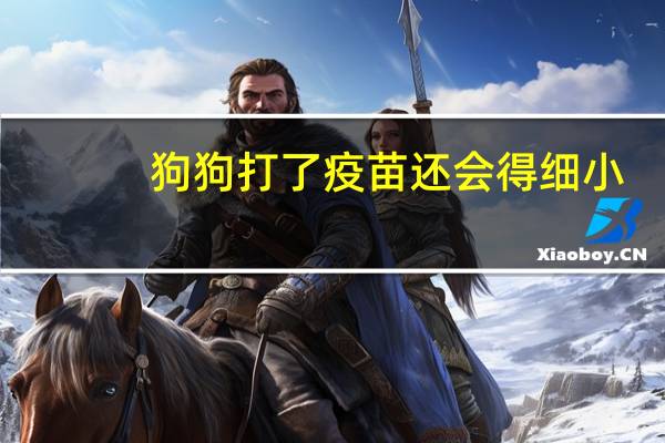 狗狗打了疫苗还会得细小