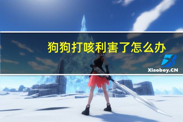 狗狗打咳利害了怎么办