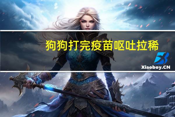 狗狗打完疫苗呕吐拉稀