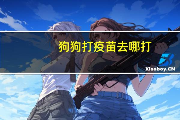 狗狗打疫苗去哪打