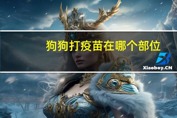 狗狗打疫苗在哪个部位