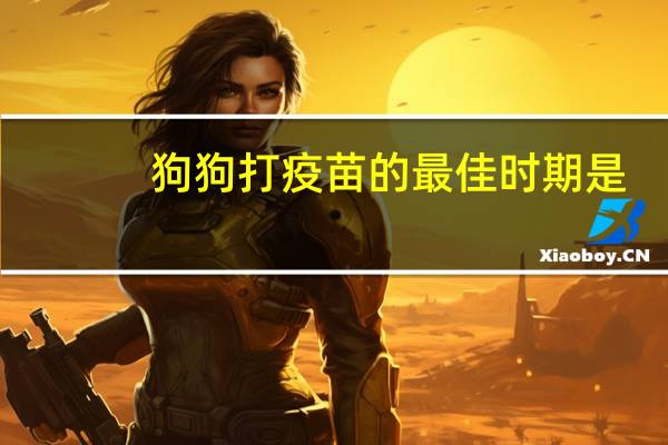 狗狗打疫苗的最佳时期是