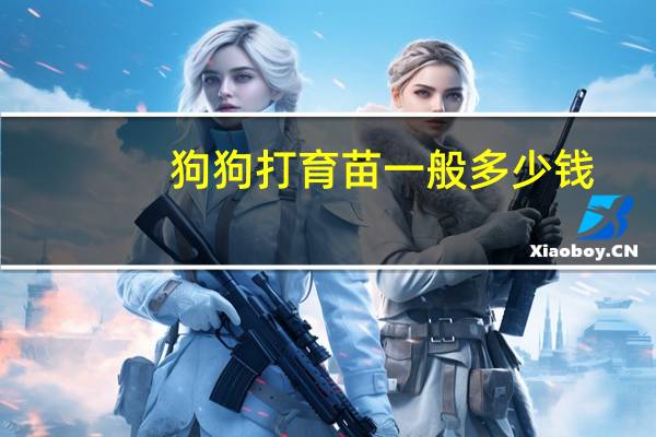 狗狗打育苗一般多少钱