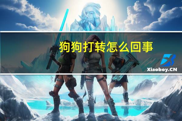 狗狗打转怎么回事