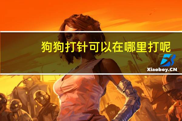 狗狗打针可以在哪里打呢