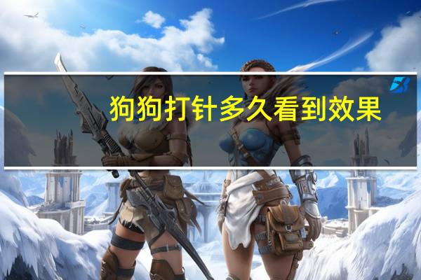 狗狗打针多久看到效果