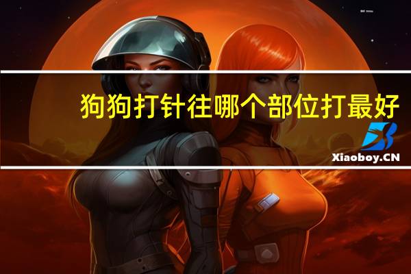 狗狗打针往哪个部位打最好