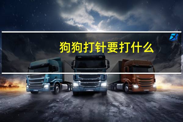 狗狗打针要打什么
