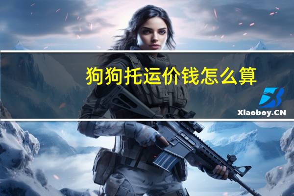狗狗托运价钱怎么算