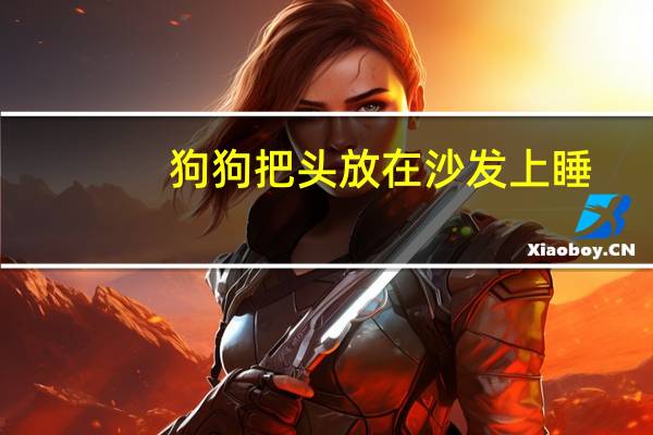 狗狗把头放在沙发上睡