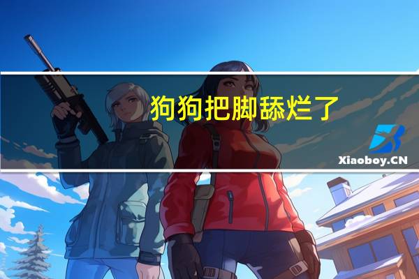 狗狗把脚舔烂了