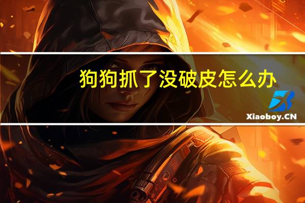 狗狗抓了没破皮怎么办