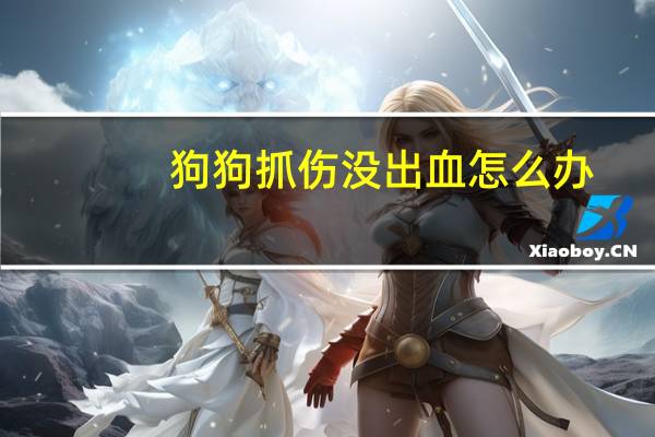 狗狗抓伤没出血怎么办