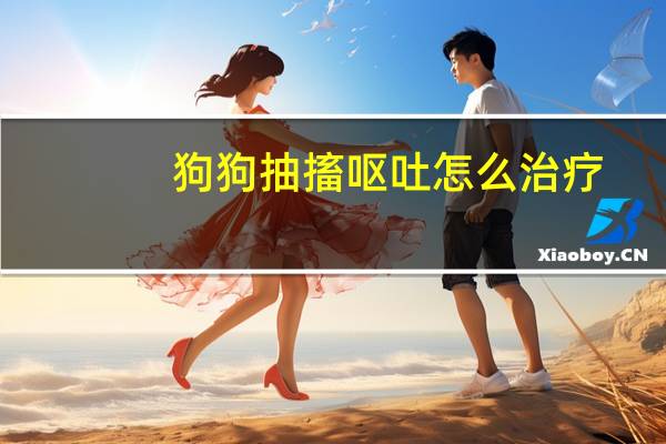 狗狗抽搐呕吐怎么治疗