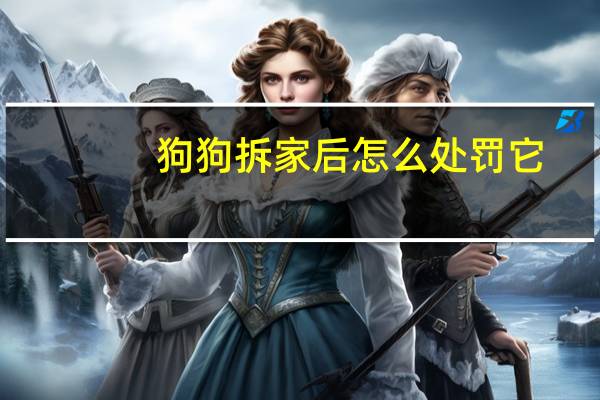 狗狗拆家后怎么处罚它